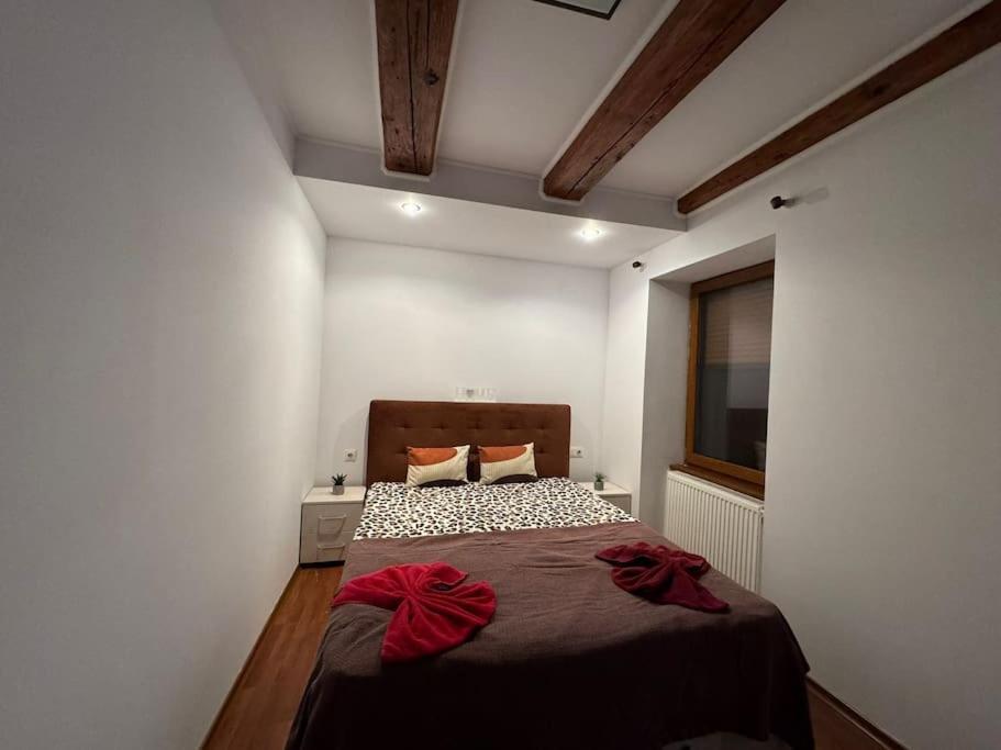 Iazi Apartament Brasov Exterior photo